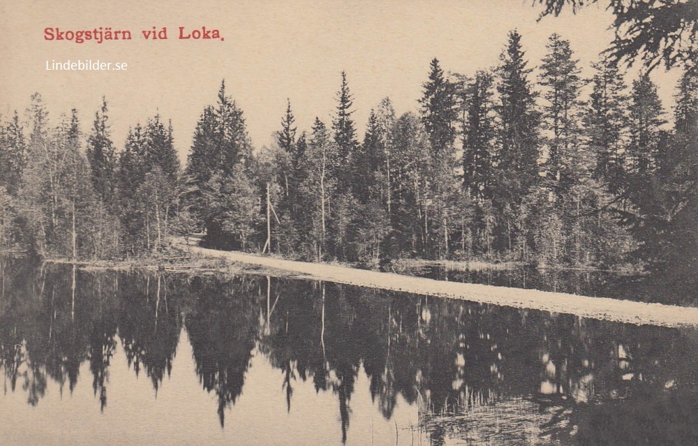 Hällefors, Skogstjärn vid Loka 1915