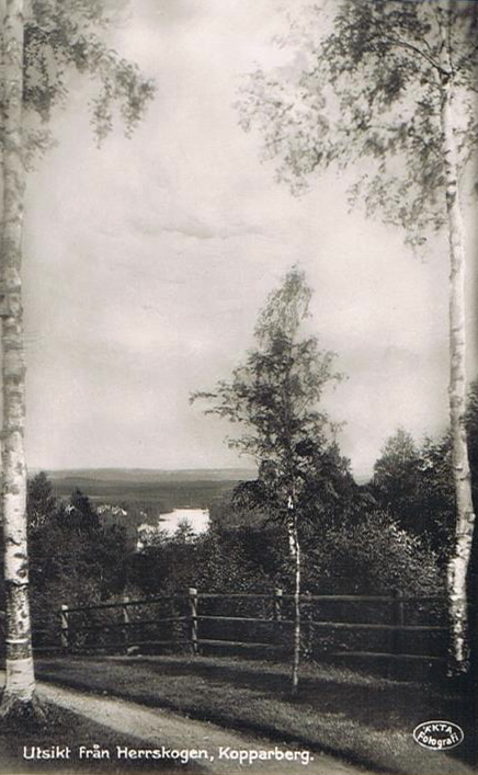 Kopparberg, Utsikt från Herrskogen