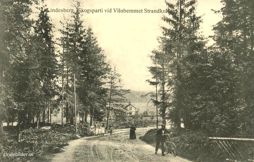 Lindesberg, Skogsparti Vid Vilohemmet Strandkullen 1915