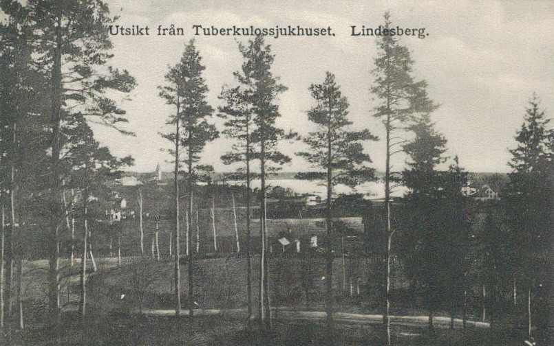 Lindesberg utsikt från Tuberkulossjukhuset 1912