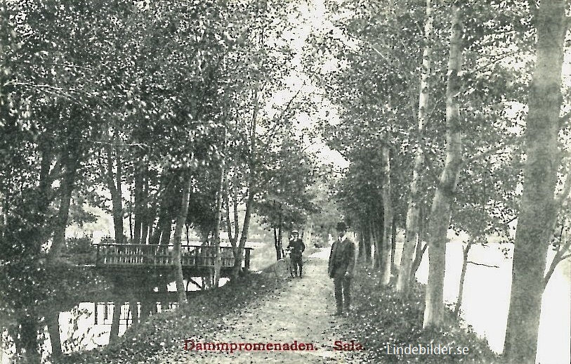 Sala Dammpromenaden 1919