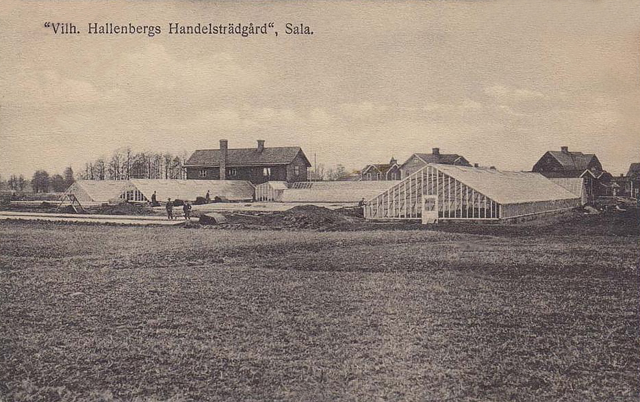 Sala, Vilhelm Hallenbergs Handelsträdgård 1921