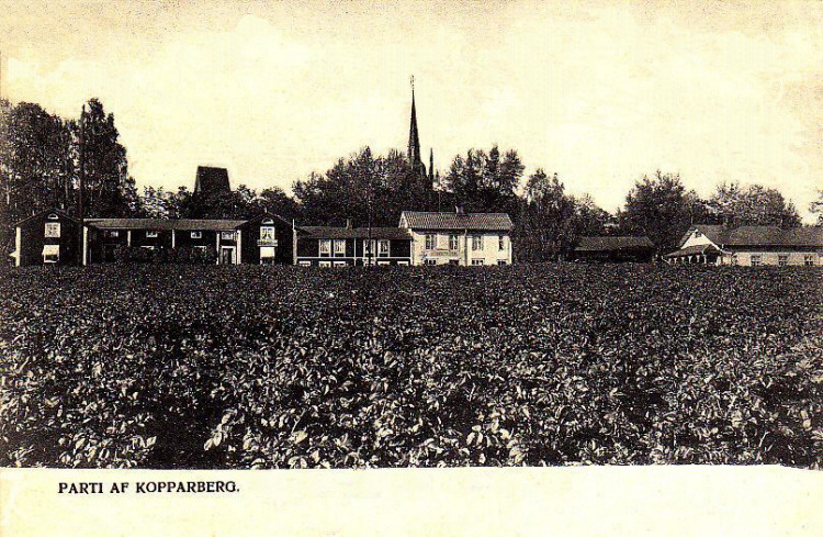 Parti af Kopparberg1906