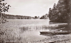 Järnboås Finnsjön
