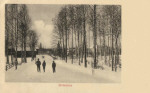 Hellefors snöbild 1902