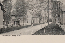 Ludvika, Grängesberg, Stora Hagen 1903