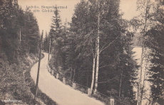 Ludvika, Skogsväg utmed sjön Gårdlången 1911
