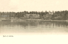 Parti af Ludvika 1904