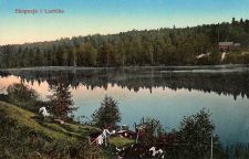 Skogssjö i Ludvika