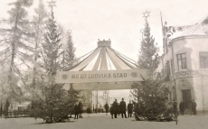 Nu är Ludvika Stad 1919