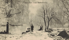 Vinterparti från Söderbärke