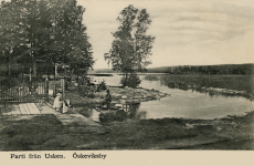 Öskevik, Parti från Usken, Öskeviksby 1908