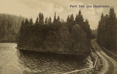 Borlänge, Parti från sjön Hästsveden 1913