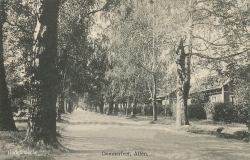 Domnarfvet, Allen 1917