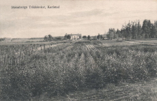 Stensborgs Trädskolor, Karlstad