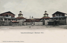Industriutställningen i Karlstad 1903