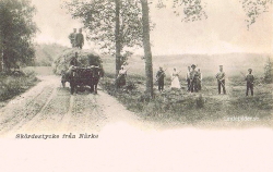 Skördestycke från Närke 1908