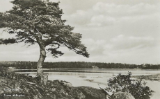 Trosa Skärgård 1947