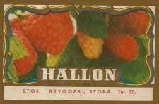 Storå Bryggeri, Hallon