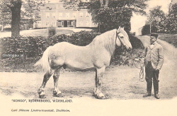 Kongo, Björneborg, Wärmland 1903