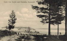 Ludvika, Utsikt över Bysjön med Olsnäsön, Sunnnansjö