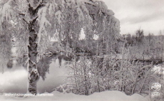 Smedjebacken, Morgårdshammar, Slaktarviken  1955