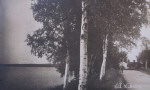 Nora, Gyttorp, Vid  Vikersvik 1920