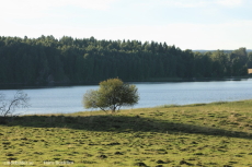Slutet eller början av Lindesjön