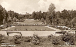 Hedemora Sveaparken 1951