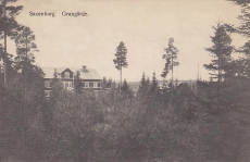 Ludvika, Saxenborg, Grangärde 1917