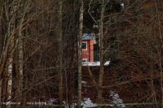 Ett hus i skogen