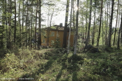 Huset i skogen