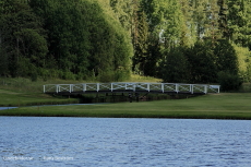 Bron vid Golfbanan