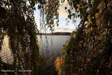 Mellan löven mot Lindesjön