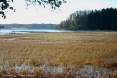 Lindesjön och Vass