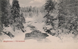 Hagforsen i Wärmland 1902