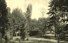 Arboga Stureparken 1916