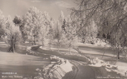 Motiv från Tällberg 1953