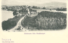 Hedemora från Stadsberget 1900