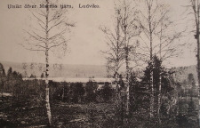 Utsikt Öfver Marnäs Tjärn, Ludvika 1911
