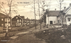 Vy från Skoghall