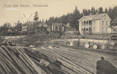 Parti från Edane, Värmland 1913
