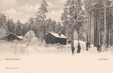 Styckåsen, Arvika 1904