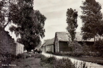 Öland, Södvik, Persnäs 1952