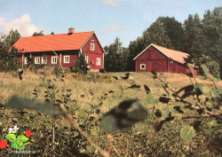 Osby. Lönsboda 1982