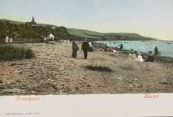 Strandparti, Båstad 1905