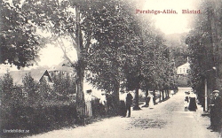Pershögs-Allen. Båstad 1913