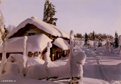 Svenska Skidspelen i Falun 1968