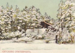 Grycksbo, Vinterparti