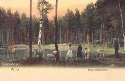 Falun. Skogspromenaden 1909